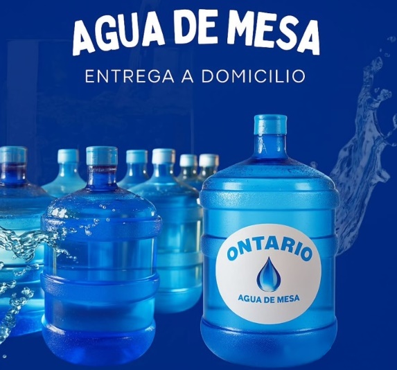 Descripcion de la imagen