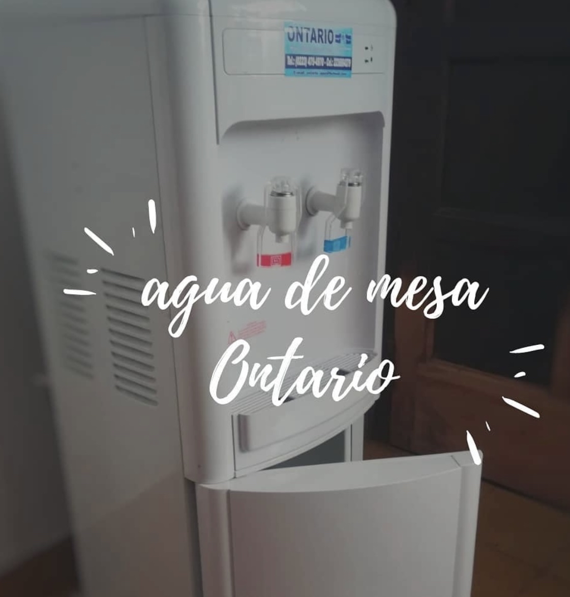 Descripcion de la imagen