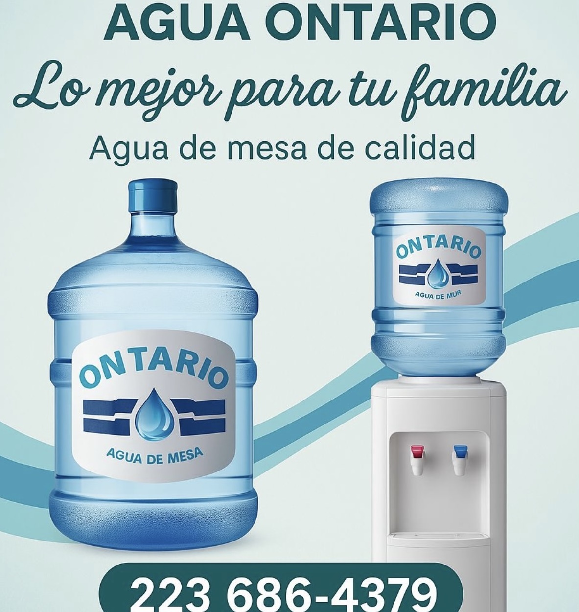 Descripcion de la imagen
